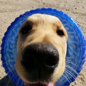 Meet your Posher, Leslie